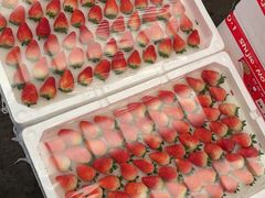 -西郊国际农产品交易中心