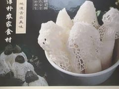 -菌之家·专业纯野生菌火锅·特色炒菌