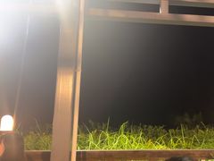 -渔家火锅·海鲜自助餐·演艺(亚龙湾天域酒店)