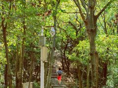 -上海佘山国家森林公园天马山园