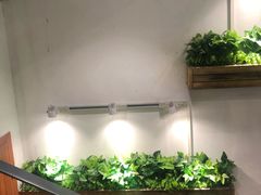-仄园围炉坊·牛肉火锅·汕头卤水火锅(蛇口店)