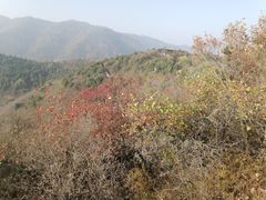 -香山公园