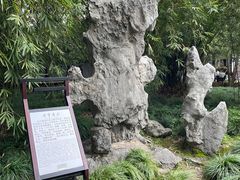 -上海醉白池公园