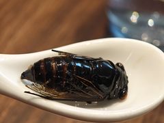 -吴记百家·私房菜·家宴(润园店)