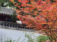 -香山公园