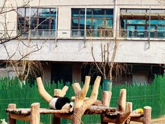 -沈阳森林动物园