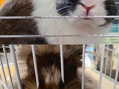 -UltraForce超源健身私教工作室(长楹天街精品店)