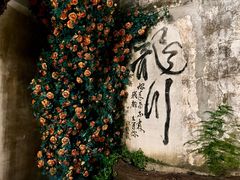 -绩溪龙川景区