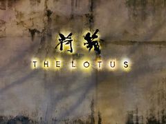 -几荷·恰似故人来(秀水广场店)