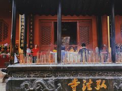 -深圳仙湖植物园