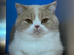 -茂业百货(东门店)