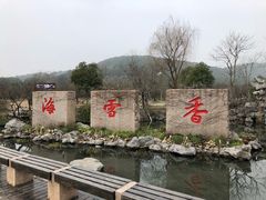 -香雪海