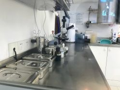 -派恩宜灰指甲鸡眼嵌甲手足癣