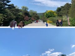 -国家植物园