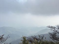 -大围山国家森林公园