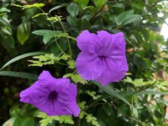 -天芳悦潭度假村温泉