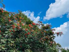 -白草畔自然风景区