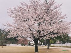 -金泽21世纪美术馆