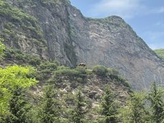 -少华山国家森林公园