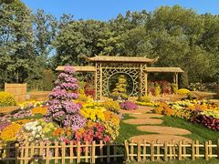 -上海共青森林公园