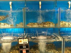水产区-苏大嘴海鲜牧场(奥林匹克店)