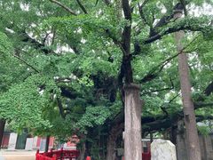 -浮来山风景区