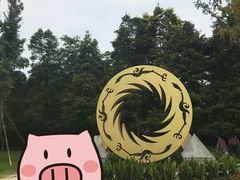 景点-金沙遗址博物馆