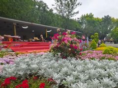 -大望京公园