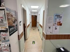 -宠福鑫动物医院·动物疾病诊疗中心(天通苑店)