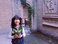 -渭南桃花源民俗文化园