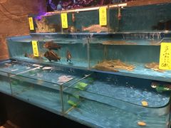 水产区-大家食府·福建菜(FAC协盛中心庭院餐厅店)