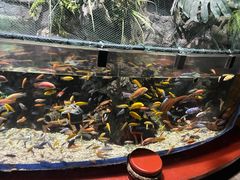 -太平洋海底世界