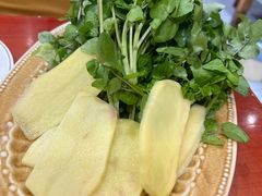 -菌之家·专业纯野生菌火锅·特色炒菌