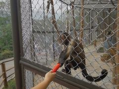 -乐和乐都动物主题乐园