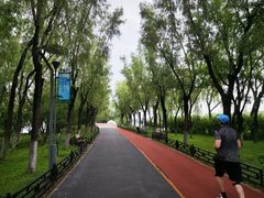 -大兴滨河森林公园