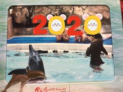 -新加坡水上探险乐园