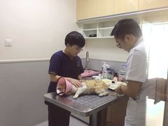 -谐和益家动物医院·免疫绝育·血液透析·宠保定点医院(高新伊藤分院)