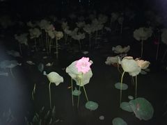 -广西大学(大学东路校区)