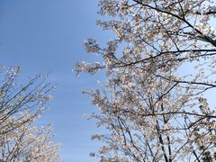 -扬州大学(扬子津校区)