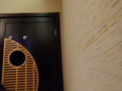 -水悦江南·spa·采耳·足道(大宁店)