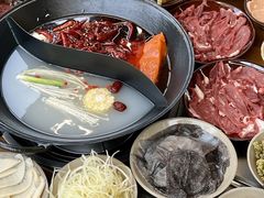 -阳阳老火锅(小南门店)