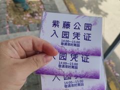-嘉定紫藤园