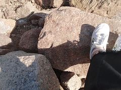 -深圳湾公园(南山区)