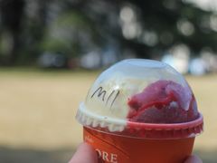 -Dal Cuore 达可芮冰淇淋(陕西北路店)