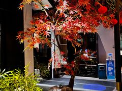 -宋徽厨·安徽菜(绿地店)