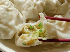 青瓜鲜虾饺子-金谷园饺子馆(北邮总店)