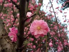 -保利石象湖景区