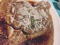 清蒸多宝鱼-万荣烤鸭店·北京菜(天坛店)