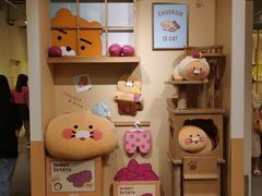 -KAKAO FRIENDS(弘大店)