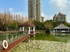 -新虹桥中心花园